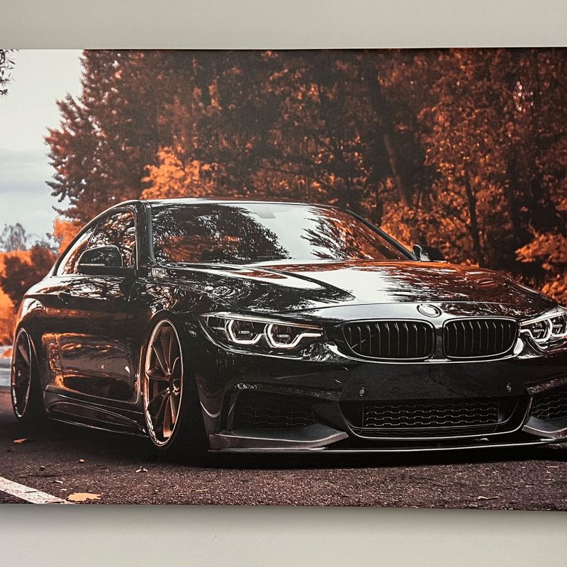 Canvas Print